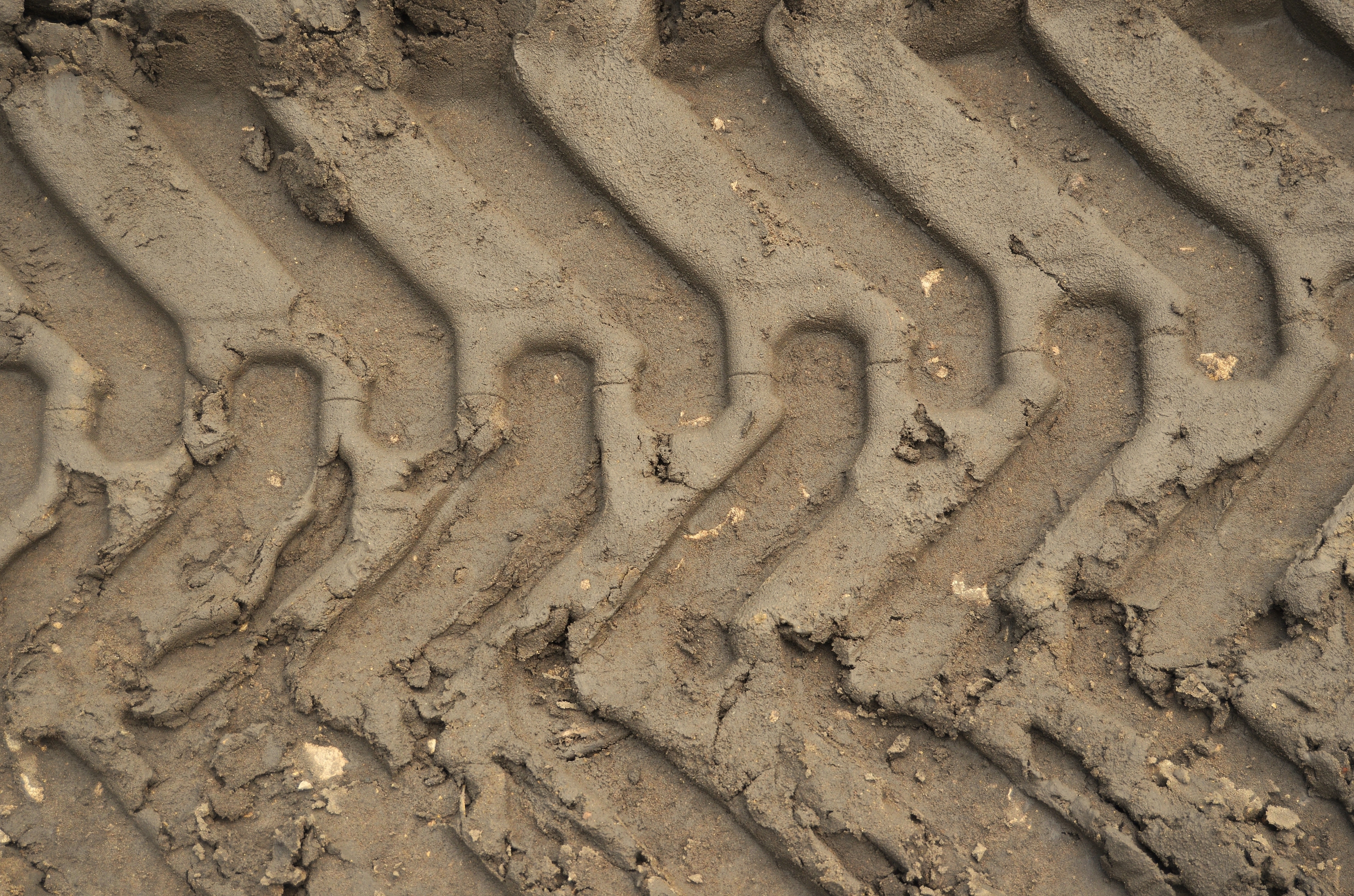 a brown photo of close up of big tire tracks in the mud